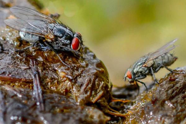 Lunch doesnt come fresher than this (%!s(<nil>)) - 
