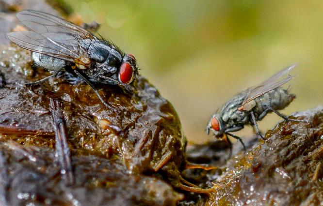 Lunch doesnt come fresher than this (%!s(<nil>)) -