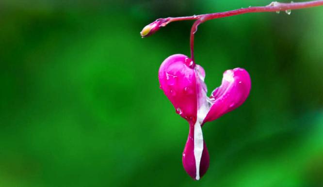 Unnamed (%!s(<nil>)) -