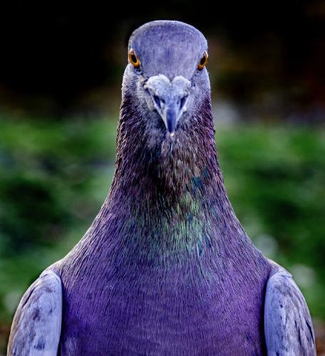 Walter (%!s(<nil>)) -