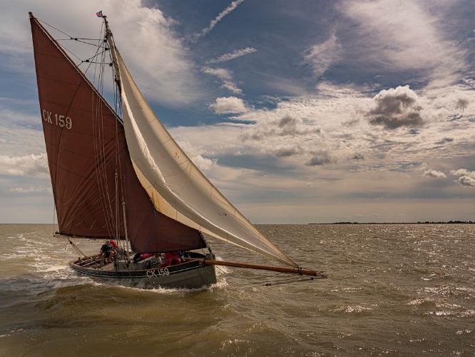 Dorothy (%!s(<nil>)) - 