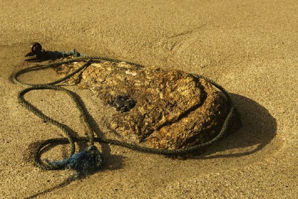 Flotsam or Jetsam (%!s(<nil>)) - 