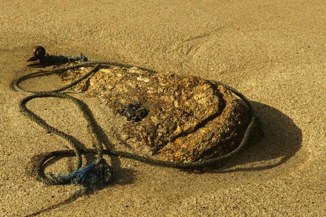 Flotsam or Jetsam (%!s(<nil>)) - 