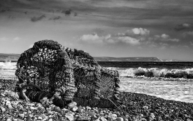 Lobster Pot B&W (%!s(<nil>)) - 