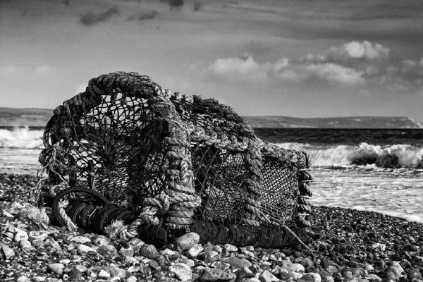 Lobster Pot B&W (%!s(<nil>)) - 
