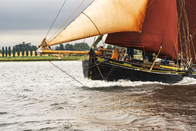 Mirosa in a hurry (%!s(<nil>)) - 