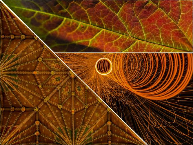 Red orange and green (%!s(<nil>)) - 