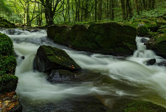 The 2nd fall at Golitha (%!s(<nil>)) - 