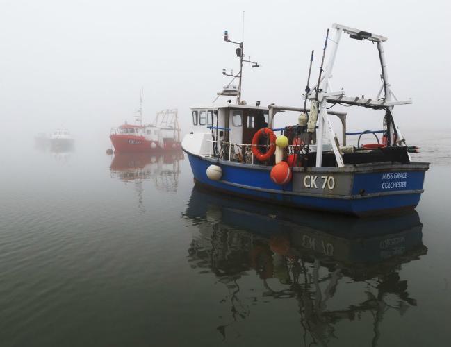 Turn of the tide (%!s(<nil>)) - 