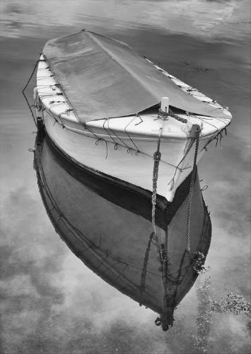 White launch Laberbenoit (%!s(<nil>)) - 