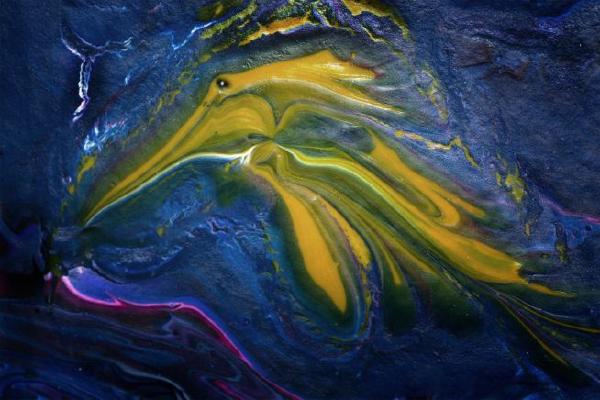 Cuttlefish Abstract (%!s(<nil>)) - 