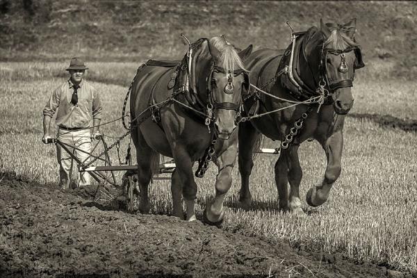 Ploughing Team (%!s(<nil>)) - 
