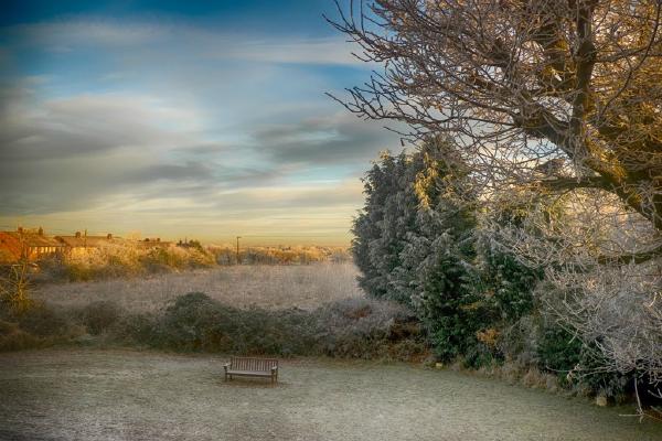 Frosty Morning (%!s(<nil>)) - 