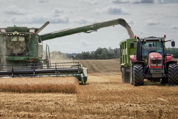 Harvest (%!s(<nil>)) - 