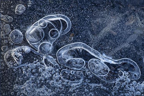 Frozen in Ice (%!s(<nil>)) - 