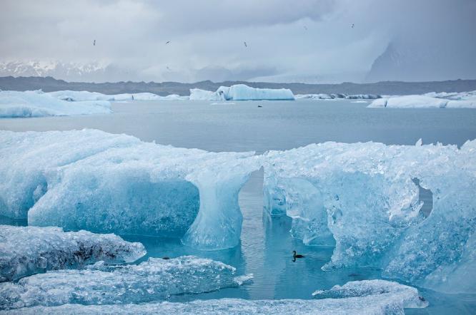 Glacial Blue - Roy E (%!s(<nil>)) - 