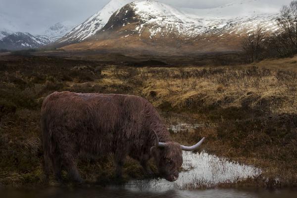 Highlands (%!s(<nil>)) - 