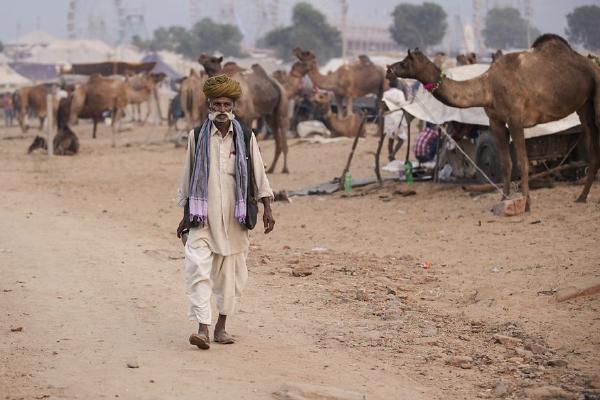 Pushkar Camel Fair - 2 (%!s(<nil>)) - 