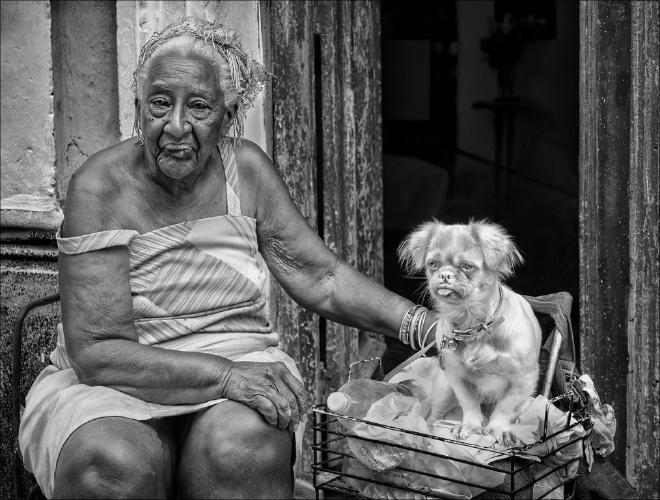 Similarities (%!s(<nil>)) - 