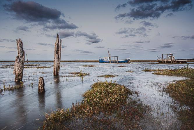 Rising Tide (%!s(<nil>)) -