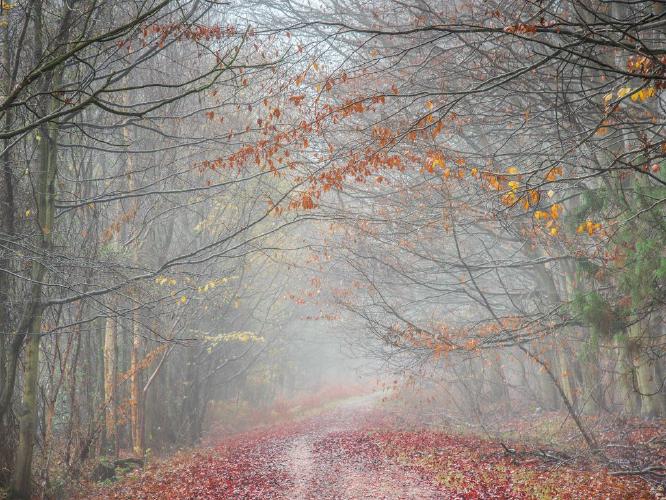 intothewoods (%!s(<nil>)) -