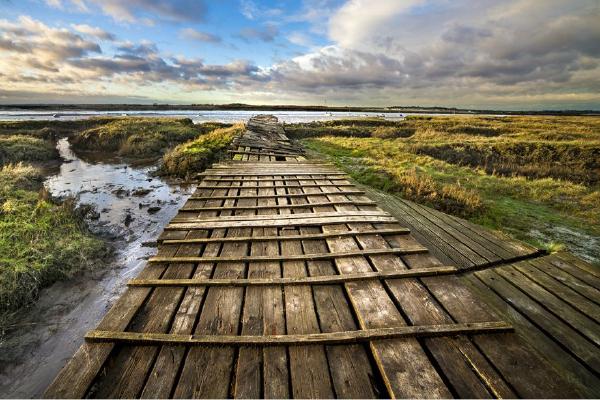Mersea Jetty (%!s(<nil>)) - 
