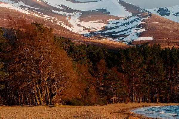 Evening Light Loch Morlich (%!s(<nil>)) - 