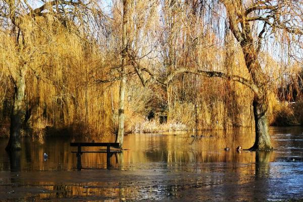 Flooding along the Riverside Walk in Colchester (%!s(<nil>)) - 