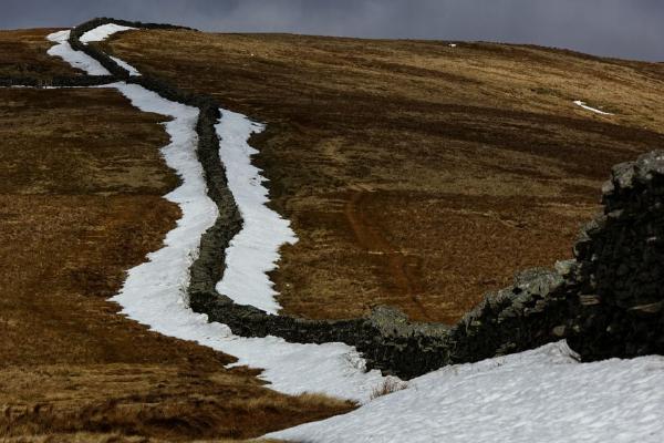 Remnants of the Snow (%!s(<nil>)) - 