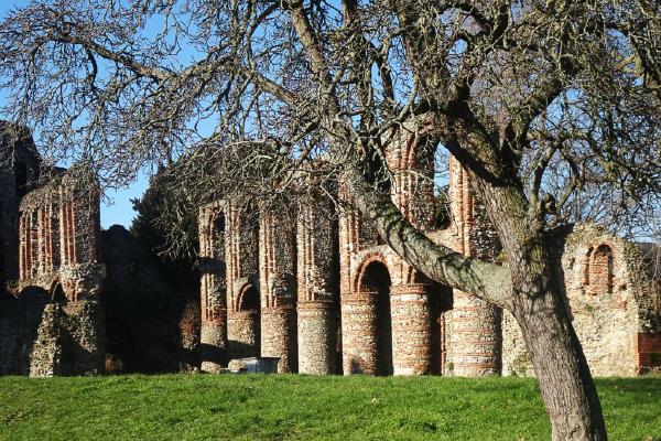 St Botolphs Priory and the Pear Tree (%!s(<nil>)) - 