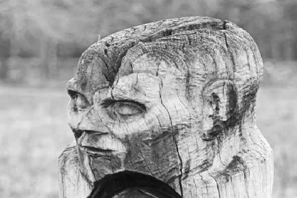 Tree Trunk Sculpture (%!s(<nil>)) - 