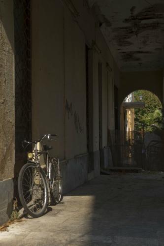 Old Faithfull (%!s(<nil>)) -